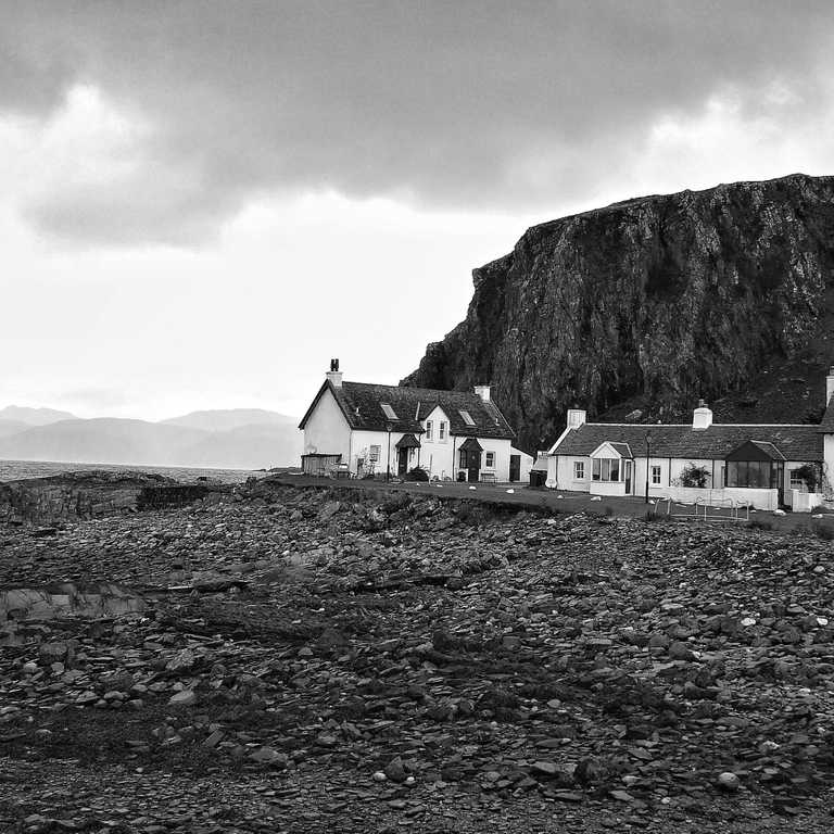 Pellentesque habitant morbi tristique